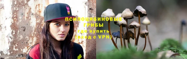 кокс Арсеньев