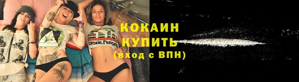 кокс Арсеньев