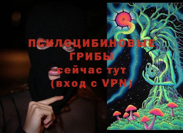 кокс Арсеньев