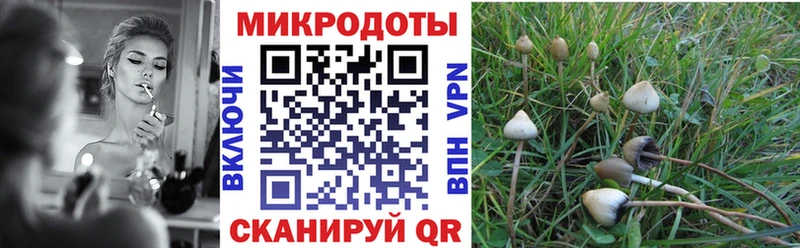 Галлюциногенные грибы GOLDEN TEACHER  что такое   Гулькевичи 